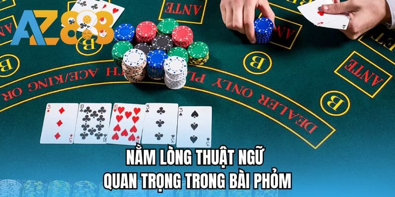 Nằm lòng thuật ngữ quan trọng trong bài Phỏm